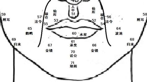 肉鼻子面相|麦玲玲面相讲座之 鼻子 – 人相学